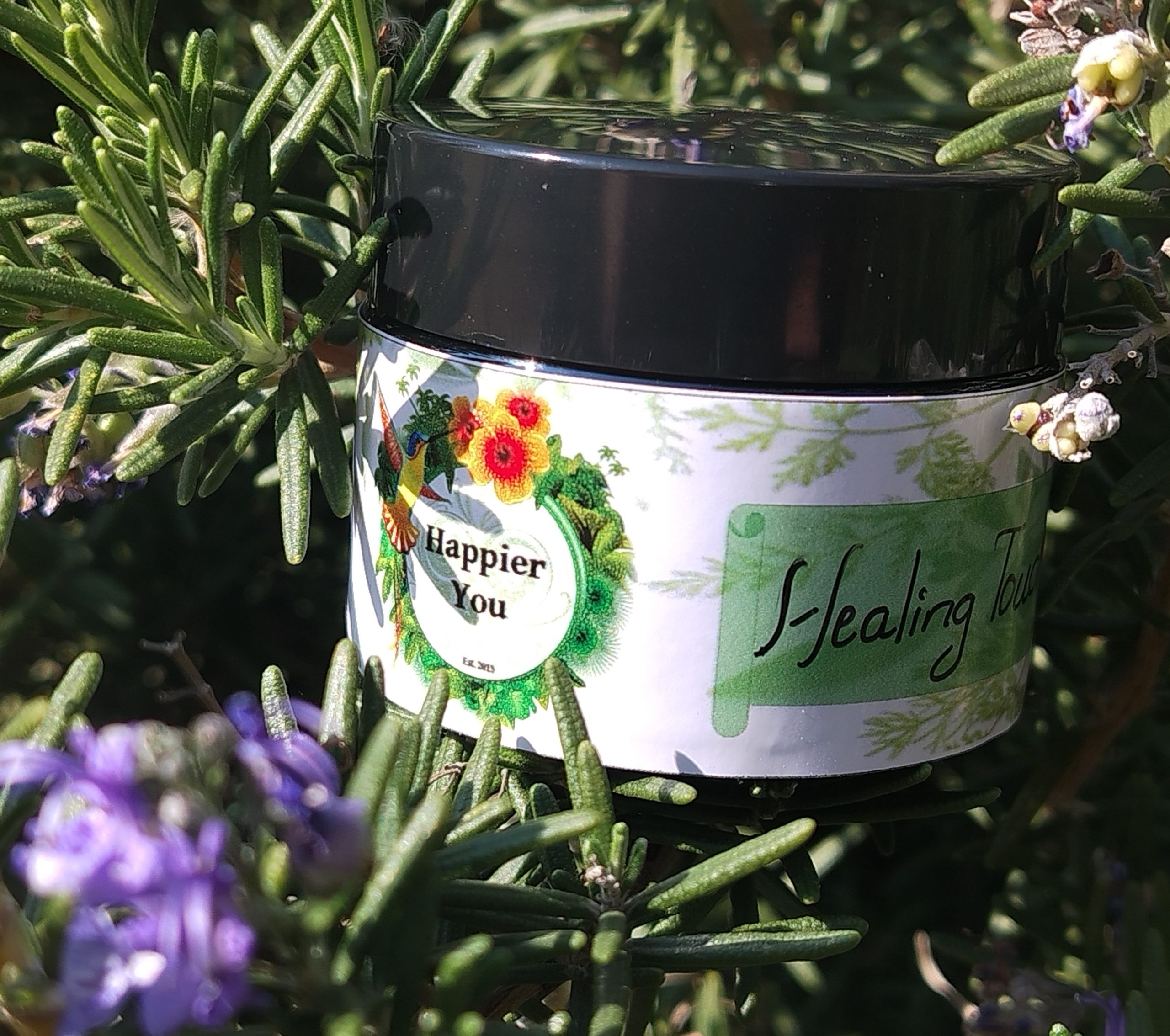 Healing Touch Salve