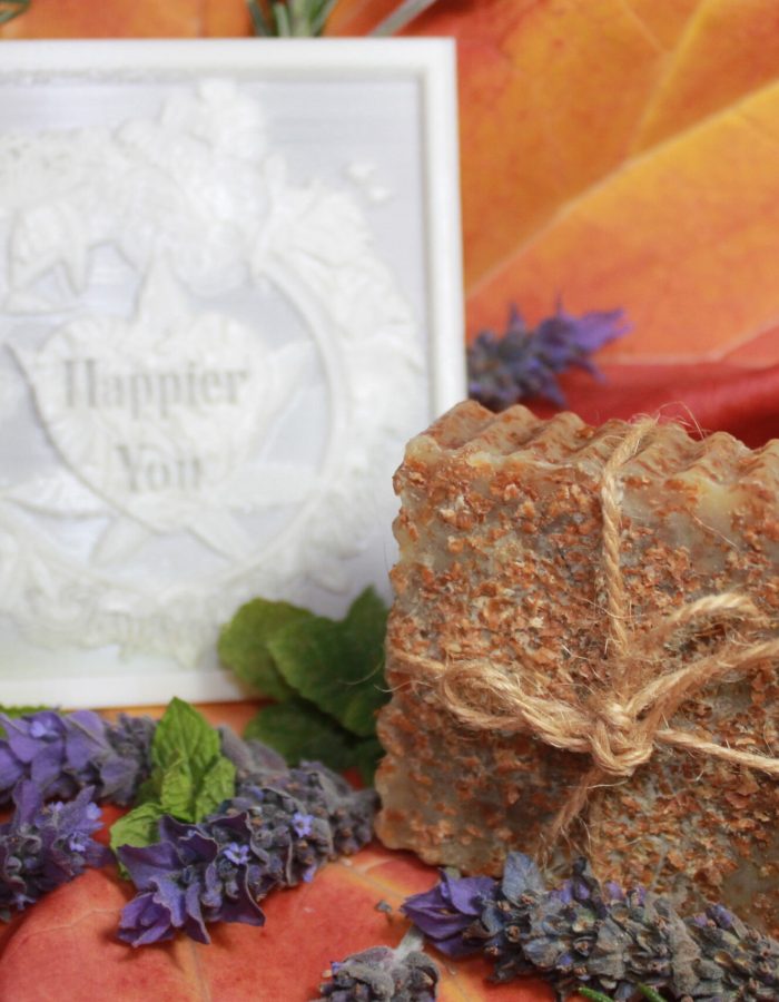 Heel Scrub Soap 95g